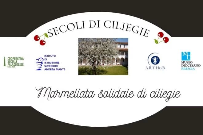 Secoli di Ciliegie — Famiglia a Brescia, Museo Diocesano