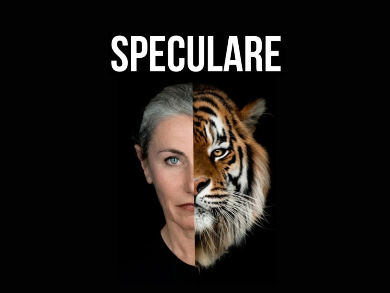 Speculare — Cultura a Brescia, Libreria Libraccio Brescia