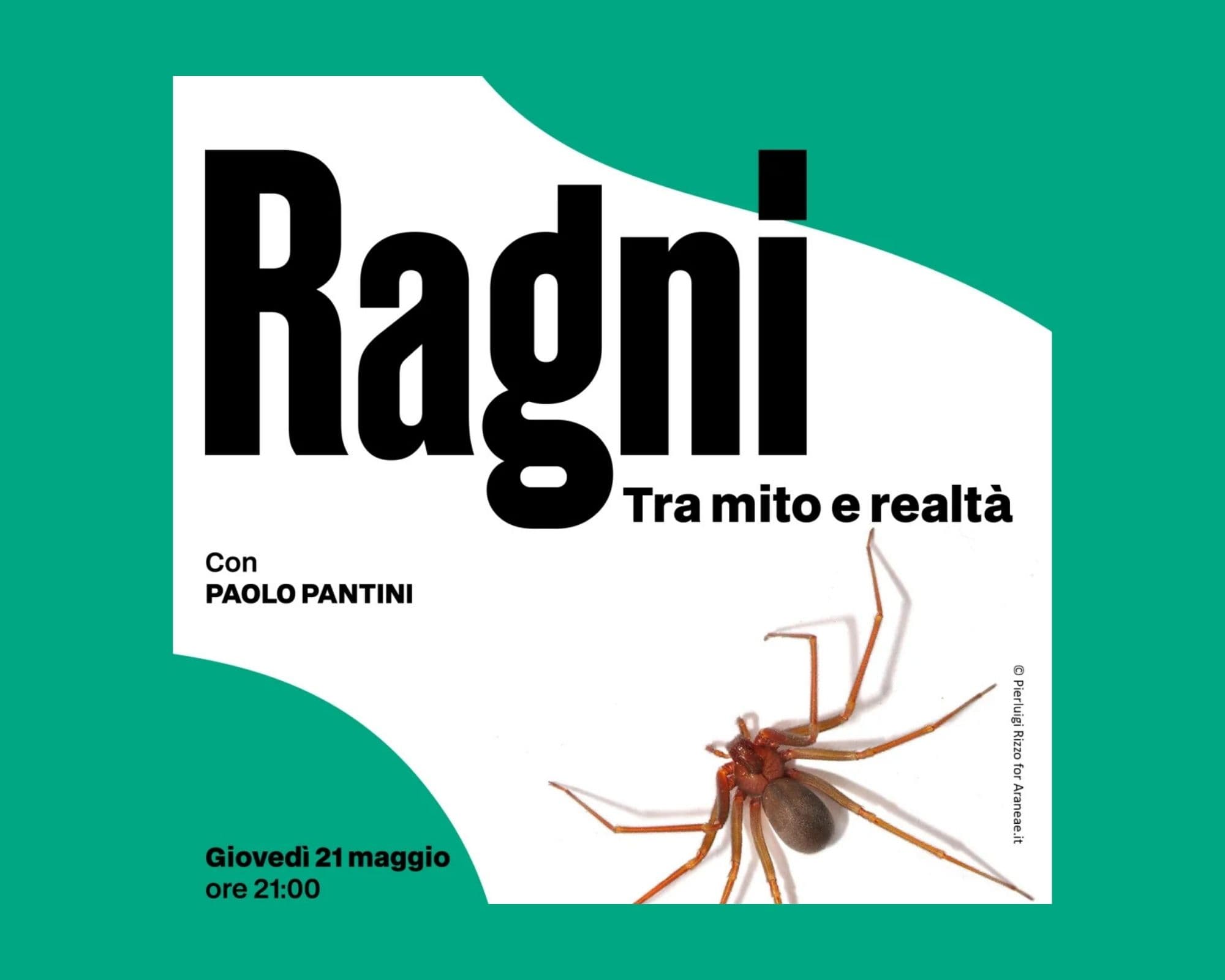 Ragni – tra mito e realtà — Teatro a Brescia, Campo Marte